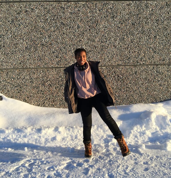 Winter in the High North